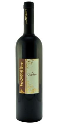 Le Capiteux (řada Les Invincibles)