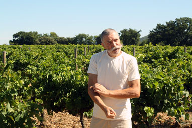 Domaine Le Sang des Cailloux